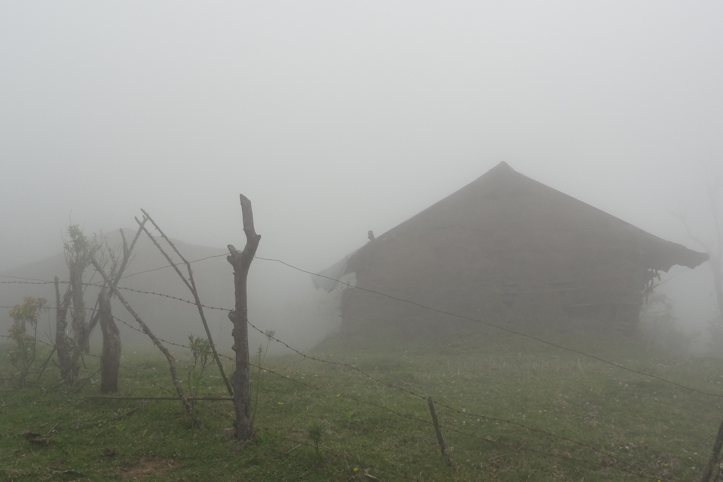 82 niebla.webp